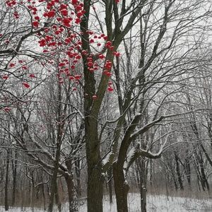 Meet your Posher, Miranda